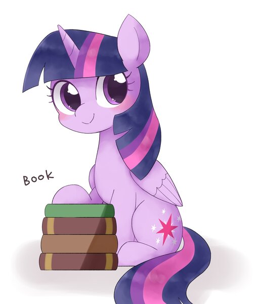 Size: 1532x1789 | Tagged: safe, artist:ginmaruxx, derpibooru import, twilight sparkle, twilight sparkle (alicorn), alicorn, pony, blushing, book, bookhorse, cute, female, image, jpeg, mare, simple background, sitting, solo, twiabetes, white background