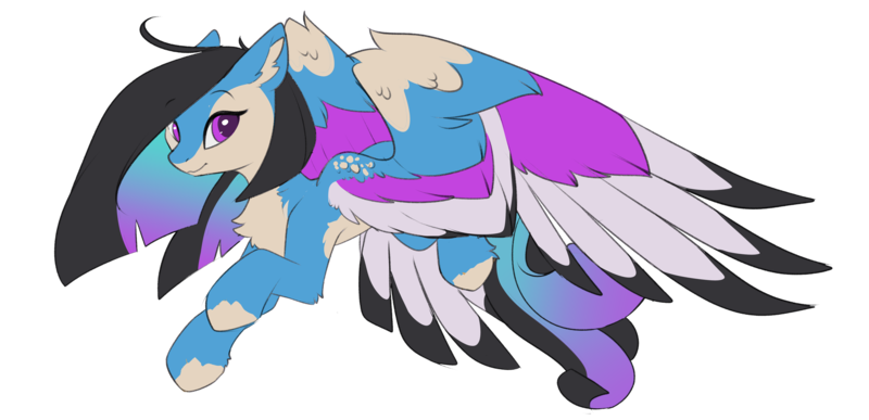 Size: 6038x2923 | Tagged: safe, artist:beardie, derpibooru import, oc, unofficial characters only, pegasus, pony, chest fluff, colored wings, commission, ear fluff, flying, image, looking at you, multicolored wings, png, simple background, solo, spread wings, transparent background, wings