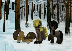 Size: 2480x1754 | Tagged: safe, artist:anonymous, artist:dr-fade, derpibooru import, oc, unofficial characters only, pony, taiga pony, bait, blaze (coat marking), boot, boots, clothes, face down ass up, female, forest, image, jpeg, mare, pale belly, shoes, snow, socks (coat marking), tree, trio