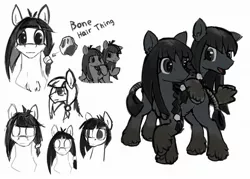 Size: 2100x1500 | Tagged: safe, artist:anonymous, oc, unofficial characters only, pony, taiga pony, belly fluff, brothers, chest fluff, ear fluff, image, jpeg, male, open mouth, raised hoof, siblings, simple background, socks (coat marking), stallion, tail wrap, twins, unshorn fetlocks, white background