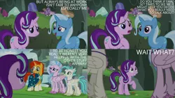 Size: 4400x2475 | Tagged: safe, derpibooru import, edit, edited screencap, editor:quoterific, screencap, silverstream, starlight glimmer, sunburst, terramar, trixie, hippogriff, pony, unicorn, season 9, student counsel, spoiler:s09, female, image, male, mare, open mouth, open smile, png, smiling, stallion