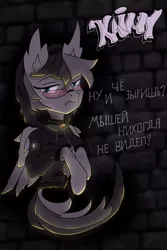 Size: 2731x4096 | Tagged: safe, artist:fi313, artist:kainy, derpibooru import, oc, oc:kainy, unofficial characters only, bat pony, hybrid, pegasus, collaboration, image, jpeg, solo