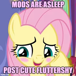 Size: 500x500 | Tagged: safe, artist:thegamerpainter, derpibooru import, edit, edited screencap, screencap, fluttershy, pegasus, pony, best gift ever, adorable face, blushing, cropped, cute, daaaaaaaaaaaw, hoof on cheek, image, jpeg, mods are asleep, mods are asleep post ponies, shyabetes