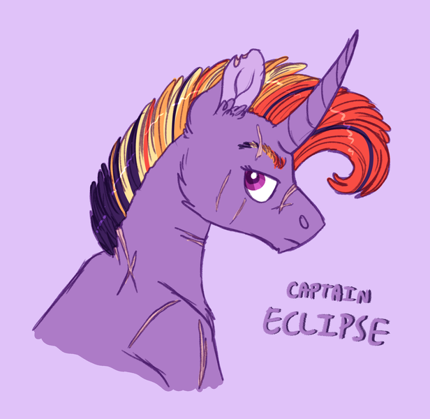 Size: 2495x2431 | Tagged: safe, artist:queenderpyturtle, derpibooru import, oc, oc:captain eclipse, pony, unicorn, bust, image, male, png, portrait, solo, stallion