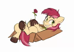 Size: 2560x1802 | Tagged: safe, artist:erzhuxa, derpibooru import, roseluck, pony, behaving like a cat, box, collar, commission, commissioner:doom9454, cute, flower, image, jpeg, pet tag, pony in a box, pony pet, rose, rosepet