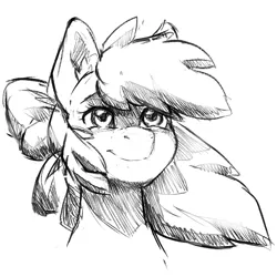 Size: 1000x1000 | Tagged: artist needed, safe, derpibooru import, apple bloom, earth pony, pony, bust, female, filly, image, monochrome, png, portrait, smiling, solo