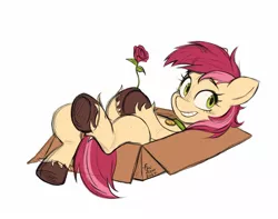 Size: 1510x1191 | Tagged: safe, artist:erzhuxa, artist:fanzeem, derpibooru import, roseluck, pony, box, collar, female, flower, image, jpeg, looking at you, lying down, mare, needs artist alias, on back, rose, simple background, smiling, smiling at you, solo, unshorn fetlocks, white background