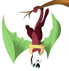 Size: 478x494 | Tagged: safe, artist:schokocream, derpibooru import, oc, unofficial characters only, draconequus, draconequus oc, image, png, prehensile tail, simple background, solo, tail, upside down, white background, wings