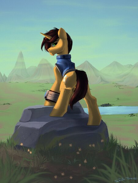 Size: 1227x1631 | Tagged: safe, artist:shido-tara, derpibooru import, oc, unofficial characters only, unicorn, fallout equestria, clothes, grass, horn, image, jpeg, looking back, pipbuck, unicorn oc