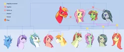 Size: 1280x544 | Tagged: safe, artist:lovelyluckyy, derpibooru import, big macintosh, fluttershy, marble pie, tree hugger, oc, oc:apple crust, oc:busalts, oc:cloudy lila, oc:honey bee, oc:lilac, oc:mcintosh jr., oc:onyx victor, oc:sprinter, oc:sunpetal, classical hippogriff, earth pony, hippogriff, pegasus, pony, unicorn, adopted offspring, beard, bisexual, facial hair, family tree, female, flutterhugger, fluttermac, fluttermarblehugger, heart, image, jpeg, lesbian, magical lesbian spawn, magical threesome spawn, male, marblehugger, marbleshy, mare, offspring, parent:big macintosh, parent:fluttershy, parent:marble pie, parent:tree hugger, parents:flutterhugger, parents:fluttermac, parents:fluttermarblehugger, parents:marbleshy, polyamory, shipping, stallion, straight