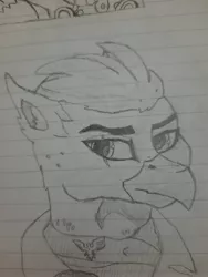 Size: 3000x4000 | Tagged: safe, artist:callsign-echo, artist:mustaphatr, derpibooru import, oc, oc:theodore verany, unofficial characters only, gryphon, equestria at war mod, clothes, image, jpeg, lined paper, scar, solo