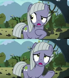 Size: 1920x2160 | Tagged: safe, derpibooru import, edit, edited screencap, screencap, limestone pie, earth pony, pony, season 8, the maud couple, spoiler:s08, female, i'm not jealous limestone, image, mare, png, raised hoof, solo, talking, totally not jealous