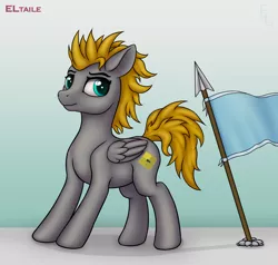 Size: 3000x2856 | Tagged: safe, artist:eltaile, derpibooru import, oc, oc:platinumdrop, pegasus, pony, equestria, flag, image, jpeg, male, solo, spear, weapon