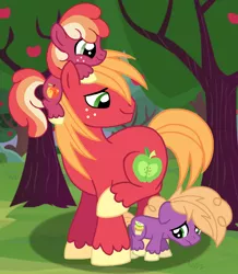 Size: 942x1079 | Tagged: safe, artist:madlilon2051, derpibooru import, big macintosh, little mac, oc, oc:big honeycrisp, earth pony, pony, base used, colt, half-siblings, image, male, offspring, outdoors, parent:big macintosh, parent:cheerilee, parents:cheerimac, png, pony hat, scared, stallion, tree, unshorn fetlocks