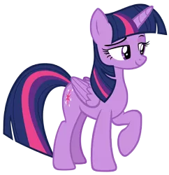 Size: 6537x6750 | Tagged: safe, artist:andoanimalia, derpibooru import, twilight sparkle, twilight sparkle (alicorn), alicorn, pony, molt down, absurd resolution, female, folded wings, full body, horn, image, lidded eyes, looking at something, mare, multicolored mane, multicolored tail, png, purple eyes, raised hoof, simple background, smiling, solo, standing, tail, transparent background, vector, wings