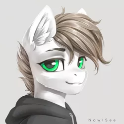 Size: 4000x4000 | Tagged: safe, artist:inowiseei, derpibooru import, oc, oc:alex, pony, bust, clothes, hoodie, image, male, png, portrait, solo, stallion