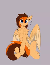 Size: 1400x1800 | Tagged: safe, artist:observerdoz, derpibooru import, oc, oc:aerion featherquill, unofficial characters only, pegasus, pony, chest fluff, confused, female, hoof fluff, image, jpeg, leg fluff, looking at you, mare, shoulder fluff, simple background, solo, wings