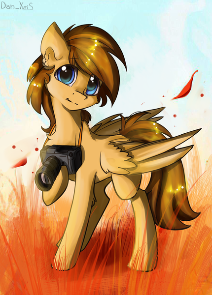 Size: 1574x2196 | Tagged: safe, artist:yuris, derpibooru import, oc, oc:sharpwing, unofficial characters only, pegasus, pony, autumn, camera, cute, image, male, png, solo, wind