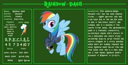 Size: 11720x6000 | Tagged: safe, artist:ponygamer2020, derpibooru import, rainbow dash, pegasus, pony, fallout equestria, bio, clothes, fallout, fallout equestria: character guide, female, flying, image, jumpsuit, mare, pipboy, png, reference sheet, s.p.e.c.i.a.l., solo, vault suit, vector