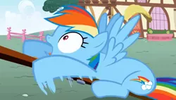 Size: 1246x710 | Tagged: safe, derpibooru import, screencap, rainbow dash, pegasus, pony, applebuck season, season 1, female, image, mare, open mouth, png, shocked, shocked expression, solo, spread wings, wings