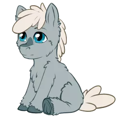 Size: 640x640 | Tagged: safe, artist:a0iisa, oc, oc:snowdrift, unofficial characters only, pony, taiga pony, blaze (coat marking), colt, image, male, png, simple background, sitting, solo, transparent background, unshorn fetlocks