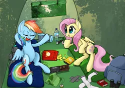 Size: 1800x1273 | Tagged: safe, artist:obcor, derpibooru import, fluttershy, rainbow dash, pegasus, pony, backpack, binoculars, camping, clothes, compass, cookie, duo, ear fluff, eating, female, flashlight (object), food, image, jpeg, map, mare, sleeping bag, talking, tent, wings