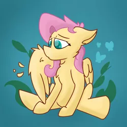 Size: 1500x1500 | Tagged: safe, artist:antimationyt, derpibooru import, fluttershy, pegasus, pony, chest fluff, female, grooming, image, mare, one wing out, partial background, png, preening, sitting, solo, three quarter view, wings