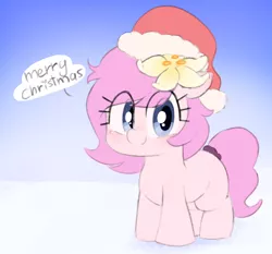 Size: 2344x2184 | Tagged: safe, artist:maxisb8, derpibooru import, oc, oc:kayla, earth pony, pony, christmas, female, filly, flower, flower in hair, hat, holiday, image, looking at you, png, santa hat, scrunchie, simple background, smiling, solo, text