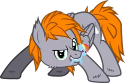 Size: 3706x2481 | Tagged: safe, artist:lincolnbrewsterfan, derpibooru import, rainbow dash, oc, oc:dreamy orange, unofficial characters only, pegasus, pony, derpibooru community collaboration, .svg available, 2022 community collab, butt fluff, cheek fluff, cutie mark, derpibooru exclusive, determined smile, ear fluff, fluffy, folded wings, gray, green eyes, hoof fluff, image, inkscape, looking at you, male, orange (color), pegasus oc, plushie, png, pointy ponies, simple background, smiling, smiling at you, stallion, stance, standing, transparent background, vector, wing fluff, wings