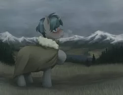 Size: 6000x4628 | Tagged: safe, artist:aquoquoo, derpibooru import, ponerpics import, stygian, pony, unicorn, absurd resolution, breath, cloak, clothes, cloudy sky, depression, fog, forest, g4, grass, horn, image, lonely, male, mountain, mountain range, open mouth, outdoors, png, raised hoof, scenery, solo, stallion, standing, travelling, tree, winter