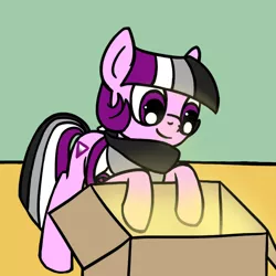 Size: 800x800 | Tagged: safe, artist:thedragenda, derpibooru import, oc, oc:ace, earth pony, pony, ask-acepony, box, female, image, mare, png, solo