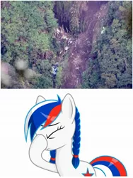 Size: 1500x1999 | Tagged: safe, ponybooru import, oc, oc:marussia, ponified, pony, 2012 mount salak sukhoi superjet crash, air crash, barely pony related, image, indonesia, jpeg, nation ponies, russia, sad, sukhoi superjet 100