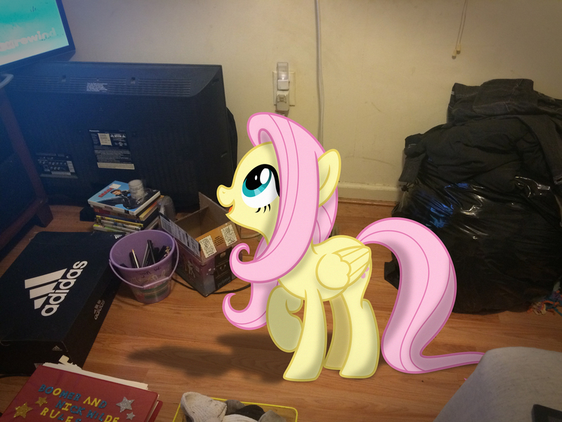 Size: 3264x2448 | Tagged: safe, artist:tmntmlp4ever2000, derpibooru import, fluttershy, pony, image, irl, jpeg, photo, ponies in real life, solo