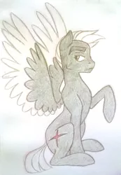 Size: 1130x1632 | Tagged: safe, artist:thepurpah, derpibooru import, oc, oc:stormtrotter, unofficial characters only, pegasus, pony, colored wings, image, jpeg, male, raised hoof, sitting, solo, stallion, traditional art, two toned wings, wings