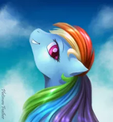 Size: 1623x1748 | Tagged: safe, artist:platinumfeather2002, rainbow dash, image, looking at you, looking back, png, sky, solo