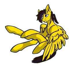 Size: 2692x2551 | Tagged: safe, artist:embro, artist:olkategrin, derpibooru import, oc, oc:lemon box, unofficial characters only, pegasus, pony, derpibooru community collaboration, 2022 community collab, blue eyes, blue hair, brown hair, colored, digital art, ear fluff, eyebrows, high res, image, looking away, male, png, ponytail, simple background, sitting, solo, spread wings, stallion, transparent background, wings