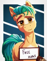 Size: 1592x2048 | Tagged: safe, artist:ajax, derpibooru import, hitch trailblazer, earth pony, pony, free hugs, g5, holding sign, image, jpeg, looking at you, male, sign, solo, stallion