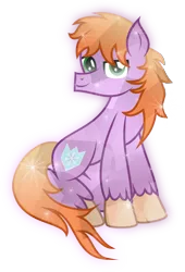 Size: 6089x8941 | Tagged: safe, artist:lincolnbrewsterfan, derpibooru import, oc, oc:crystal saint, unofficial characters only, crystal pony, pony, derpibooru community collaboration, .svg available, 2022 community collab, absurd resolution, covering, crystalline, derpibooru exclusive, image, inkscape, looking at you, male, png, shield, simple background, sitting, smiling, smiling at you, snow, snowflake, solo, stallion, stallion oc, tail, tail covering, tail curled, transparent background, unshorn fetlocks, vector