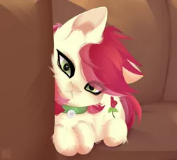 Size: 2280x2060 | Tagged: safe, artist:elektra-gertly, derpibooru import, roseluck, cat, collar, feral, image, looking at you, png, species swap