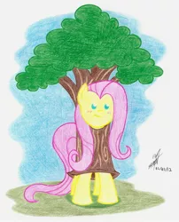 Size: 1616x2000 | Tagged: safe, artist:nightshadow154, derpibooru import, fluttershy, pony, beady eyes, clothes, costume, fluttertree, image, jpeg, solo, traditional art