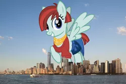 Size: 2200x1467 | Tagged: safe, artist:cheezedoodle96, derpibooru import, valley glamour, pegasus, pony, female, giant pegasus, giant pony, giantess, highrise ponies, image, irl, macro, manhattan, mare, mega giant, new york, new york city, photo, png, ponies in real life