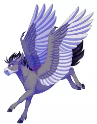 Size: 1800x2300 | Tagged: safe, artist:uunicornicc, derpibooru import, oc, pegasus, pony, colored wings, image, male, png, simple background, solo, stallion, two toned wings, white background, wings