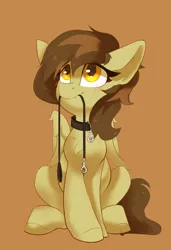 Size: 1942x2844 | Tagged: safe, artist:jazzynsfw, derpibooru import, oc, oc:static spark, unofficial characters only, pegasus, pony, blushing, collar, female, image, leash, mare, mouth hold, pegasus oc, pet play, pet tag, png, sitting, solo, wings