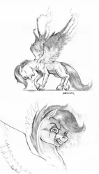 Size: 725x1280 | Tagged: grimdark, artist:baron engel, derpibooru import, scootaloo, pegasus, pony, angry, blood, blood from mouth, creepy, crying, evil, evil scootaloo, eviloo, female, filly, floppy ears, gritted teeth, image, jpeg, large wings, lighting, looking at you, melting, melting wings, pain, scootaloo the dark wander, shading, signature, simple background, small ears, tears of blood, traditional art, two panels, white background, wings