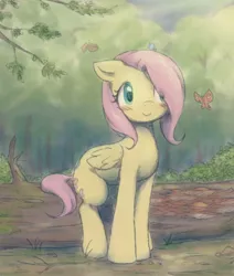 Size: 4241x5000 | Tagged: artist needed, safe, derpibooru import, fluttershy, butterfly, insect, pegasus, pony, cute, female, filly, filly fluttershy, forest, image, jpeg, log, shyabetes, smiling, solo, tree, younger