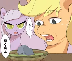 Size: 811x686 | Tagged: safe, artist:noupu, derpibooru import, applejack, limestone pie, earth pony, pony, hearthbreakers, bust, colored pupils, dialogue, duo, female, food, image, japanese, jpeg, mare, moon runes, open mouth, rock soup, soup, speech bubble