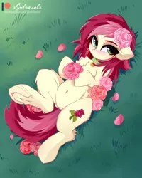 Size: 4000x5000 | Tagged: safe, artist:xsatanielx, derpibooru import, roseluck, pony, chest fluff, ear fluff, female, flower, image, mare, png, rcf community, rose, solo