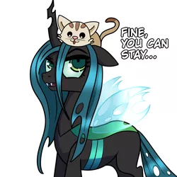 Size: 2000x2000 | Tagged: safe, artist:plaguemare, derpibooru import, queen chrysalis, cat, changeling, changeling queen, dialogue, drawthread, female, horn, image, png, request, wings