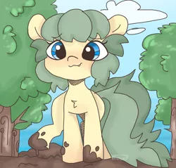 Size: 1288x1232 | Tagged: safe, artist:mushy, derpibooru import, oc, oc:pea, pony, background, blue eyes, female, filly, image, mud, png