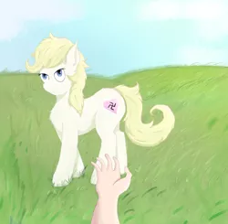 Size: 2500x2450 | Tagged: safe, artist:fdv.alekso, ponybooru import, oc, oc:aryanne, unofficial characters only, earth pony, human, field, grass, grass field, hand, image, nazi, off screen character, png, swastika